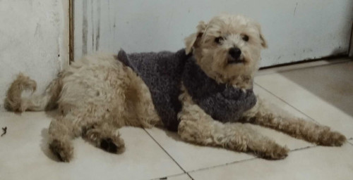 Chester