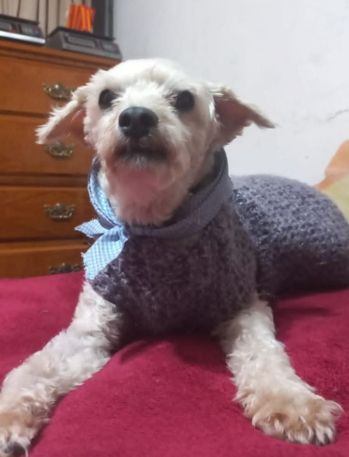 Chester