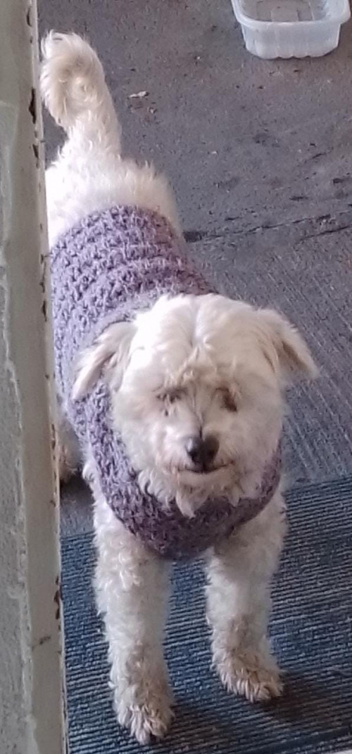 Chester