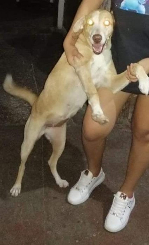 Kira
