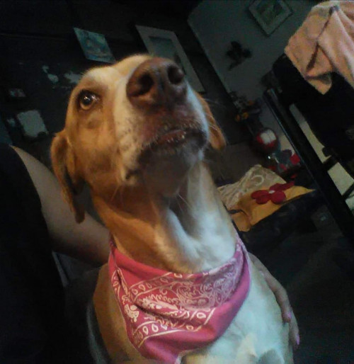 Kira