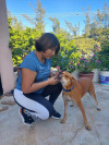 Foto de Laysa en Benito Juárez Quintana Roo #0