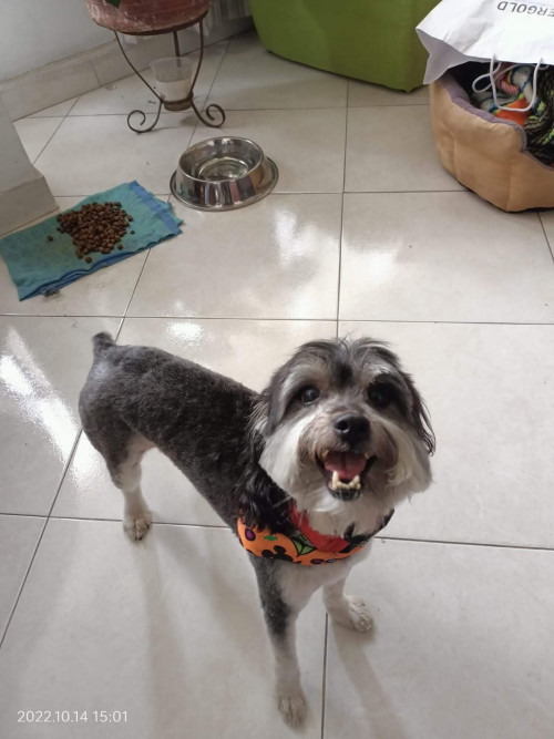 Toto