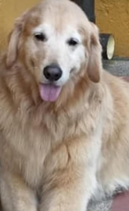 Mora
