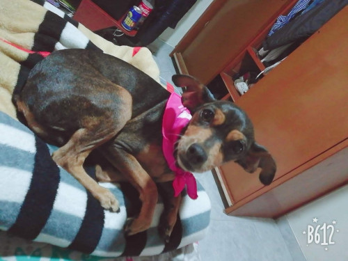 Susy