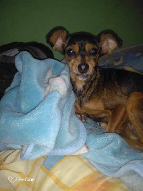 Susy