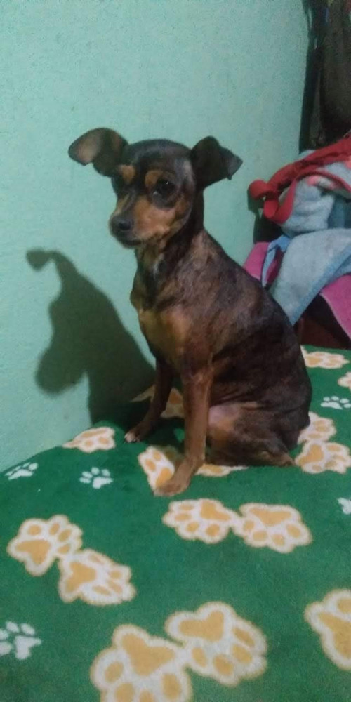 Susy