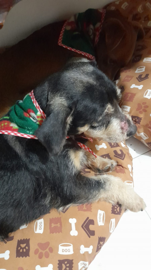 Mateo