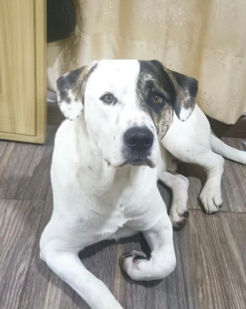 Max