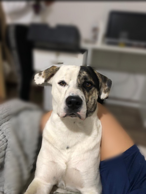 Max