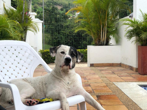 Max