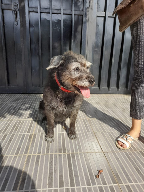 Pepa