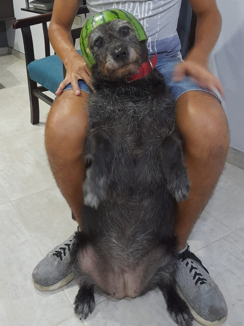 Pepa