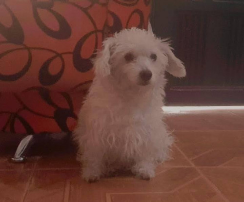 Estrella