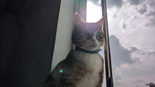 Zoe