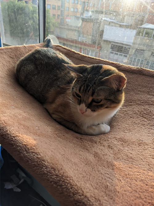 Zoe