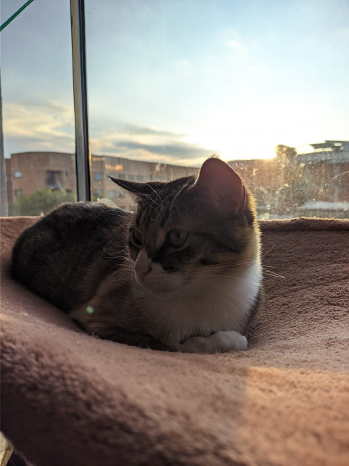 Zoe