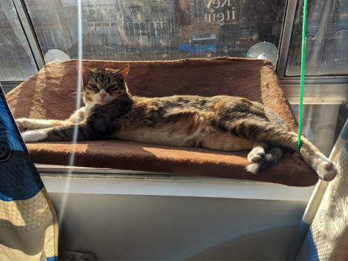 Zoe