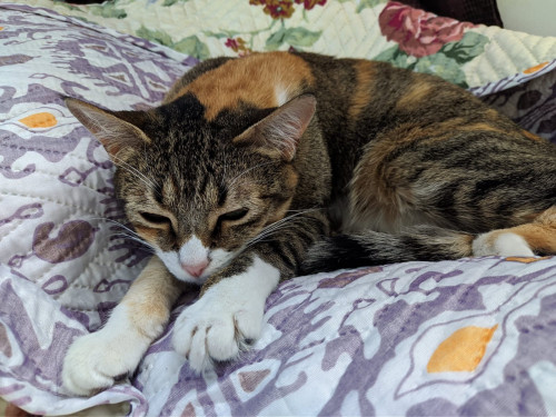 Zoe