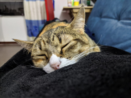Zoe
