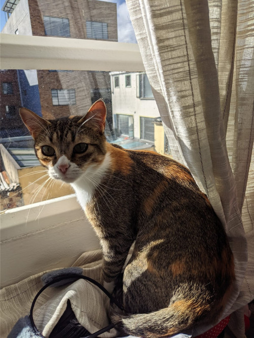 Zoe