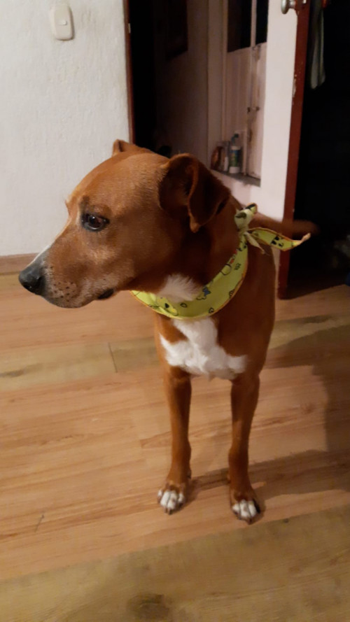 Kaiser