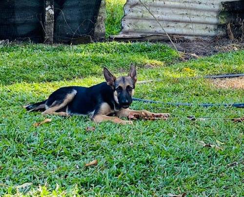 Ragnar