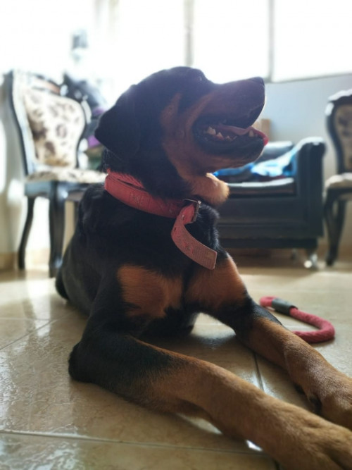 Kiara