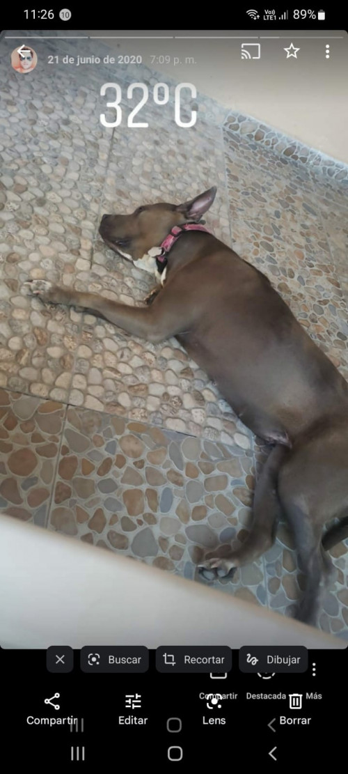 Frida