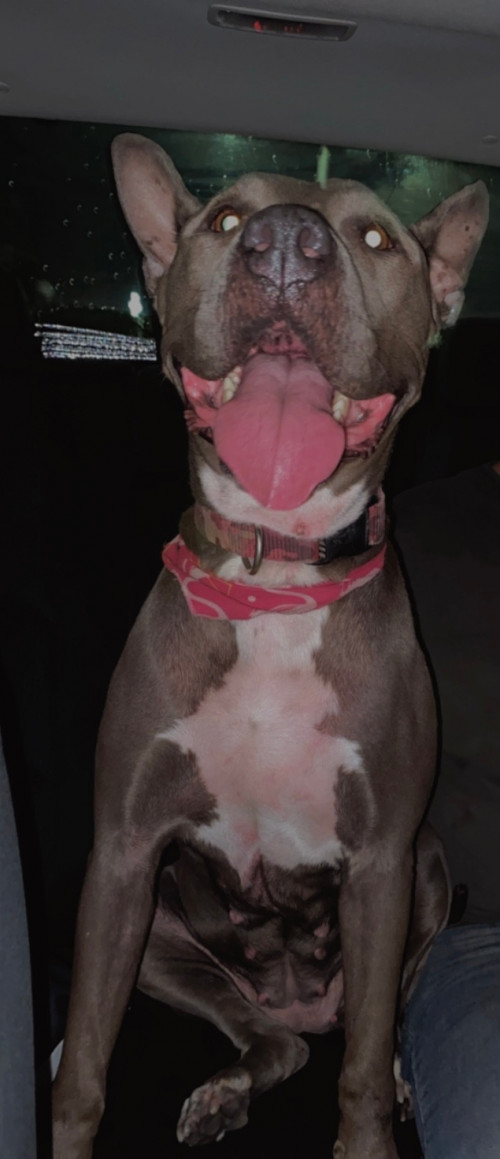 Frida
