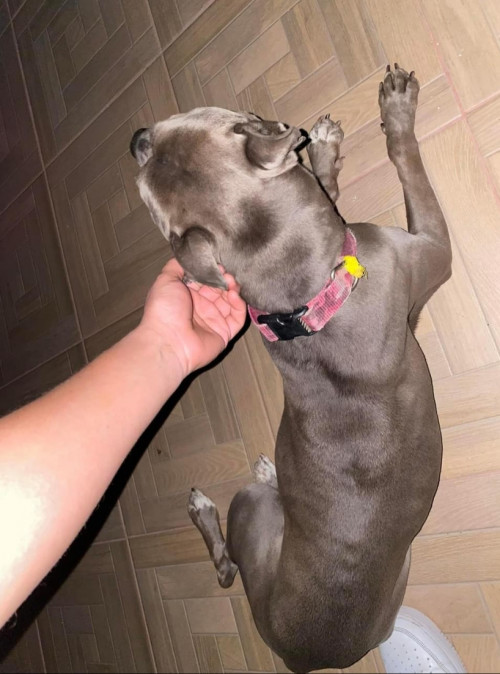 Frida