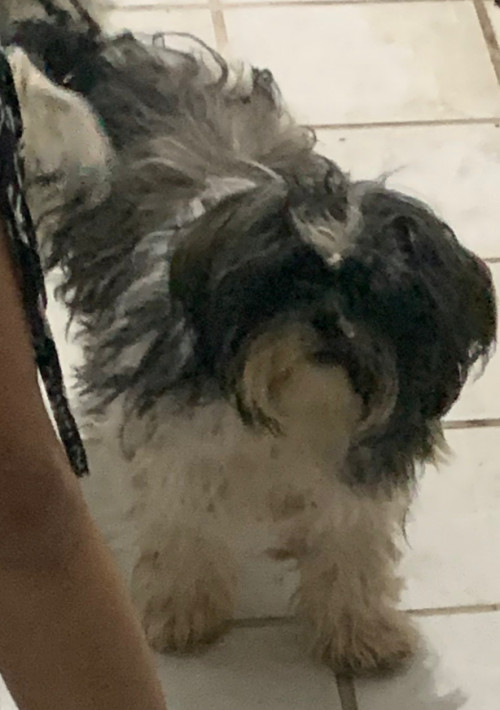 Jully