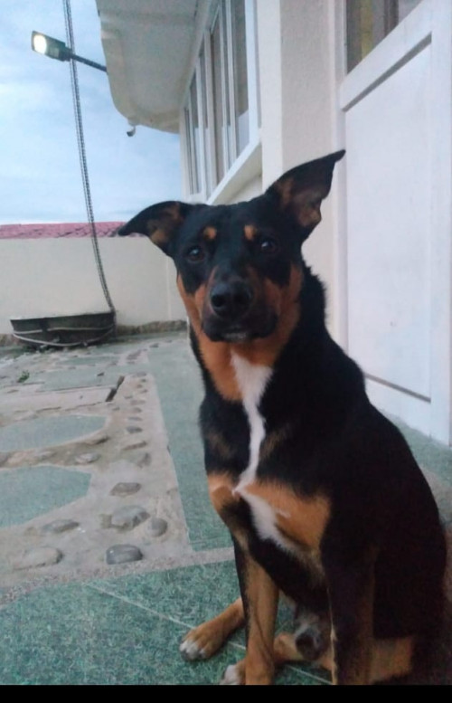 Luky