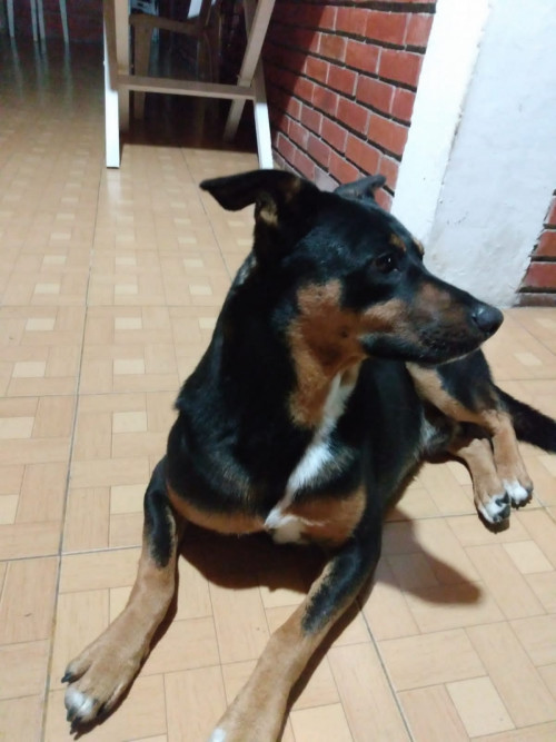 Luky