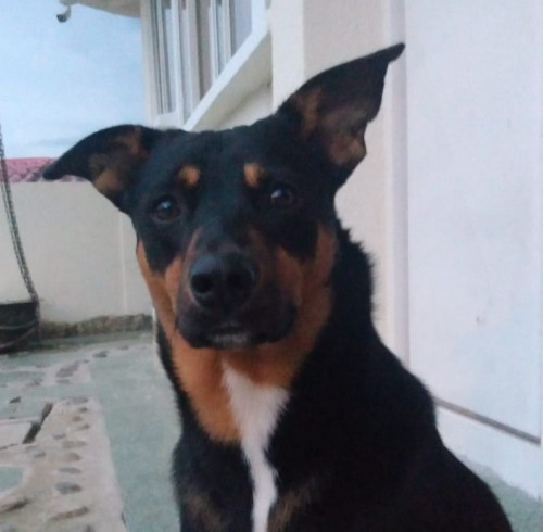Luky