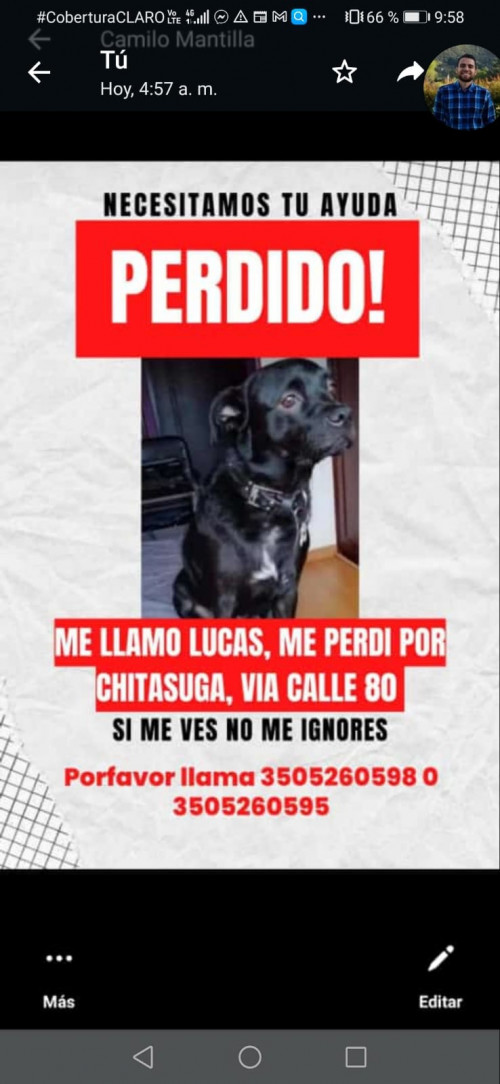Lucas