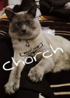 Foto de Chorch en  Ciudad de México #1
