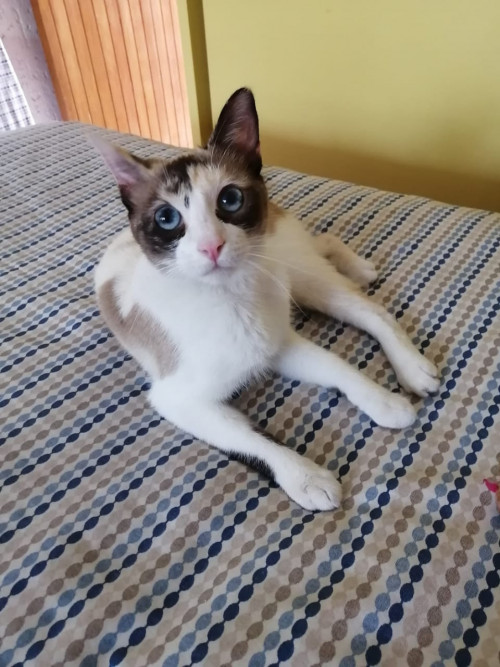 Tammy