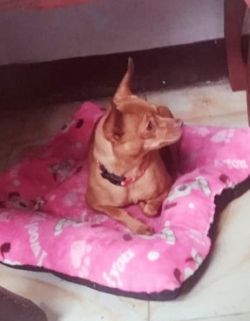 Estrella