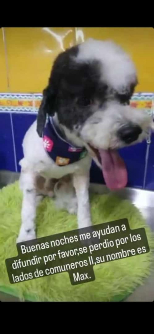 Max