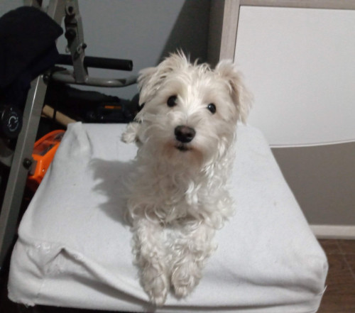 Naoky