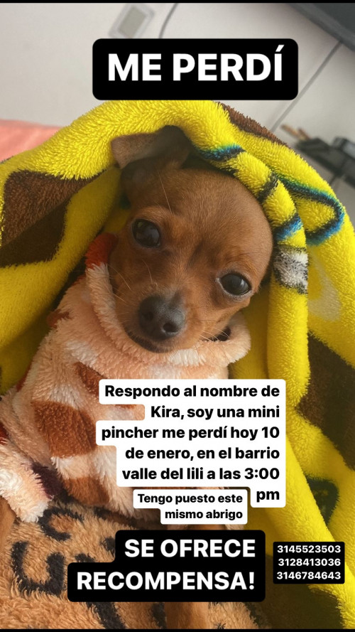 Kira