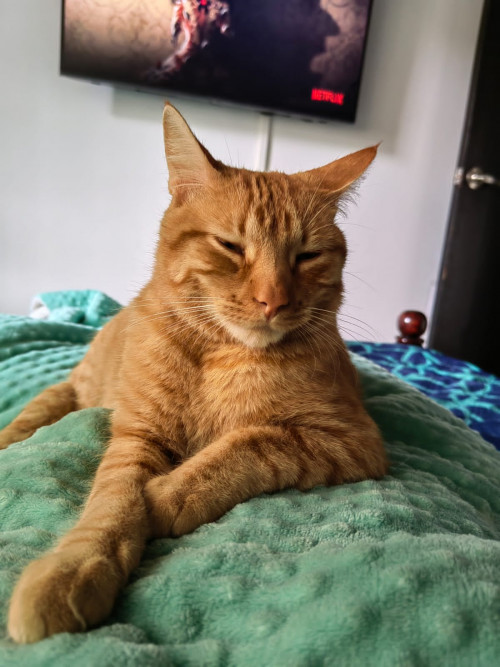 Mike