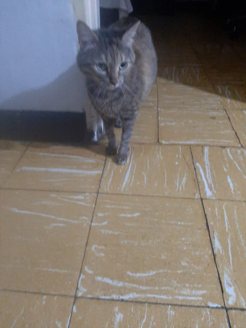Luna