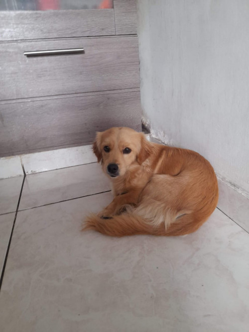 Zacura Y Zasque