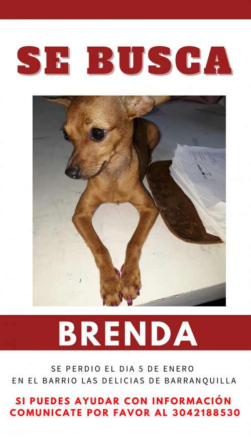 Brenda