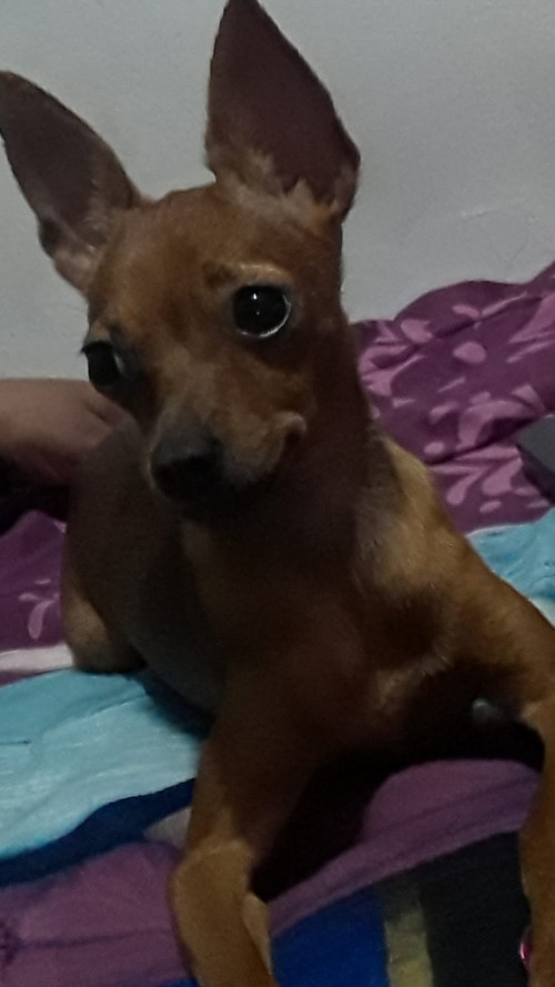 Brenda