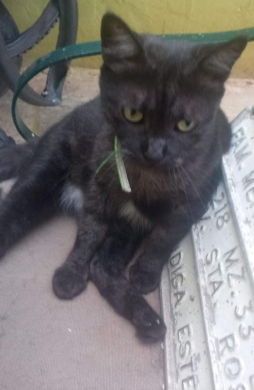 Salem