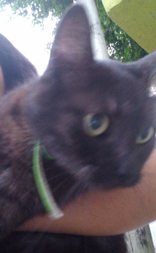 Salem