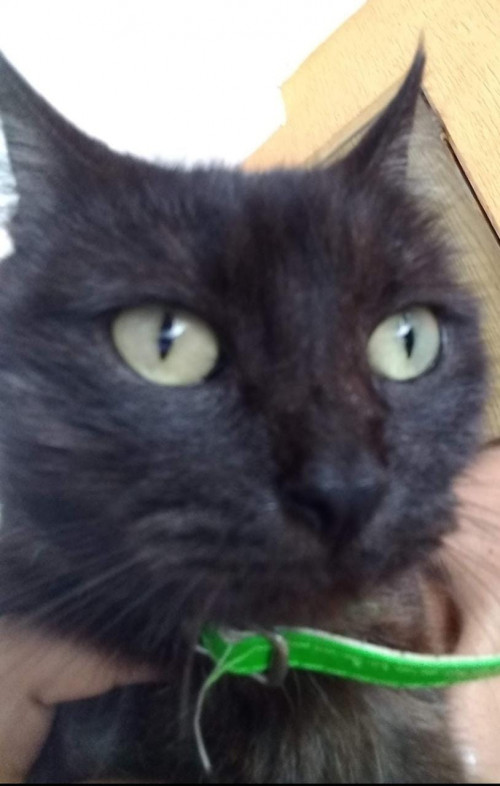Salem